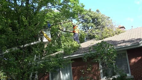 City workers cutting and removing fallen tree from home, roof after severe storm Stock Footage 79476601