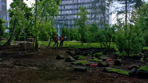 City workers discuss and go to start lawn laying in city park Stock Footage 244634744