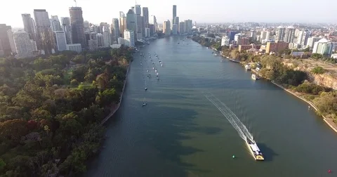 Citycat on Brisbane river aerial shot Stock Footage 81464967