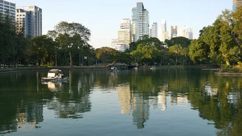 Cityscape and Park 動画素材 105513801