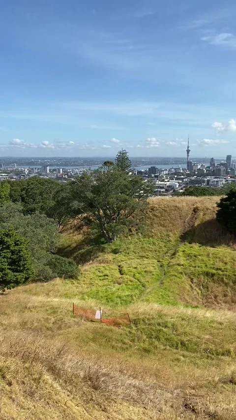 Cityscape in Auckland 動画素材 344046658