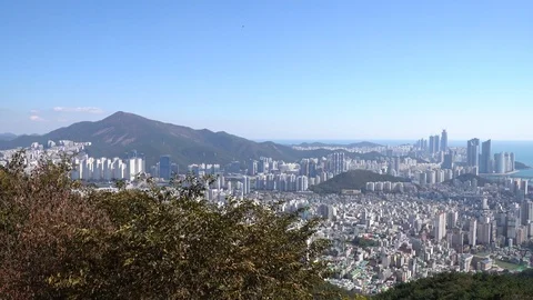 The cityscape of Busan Stock Footage 101003905