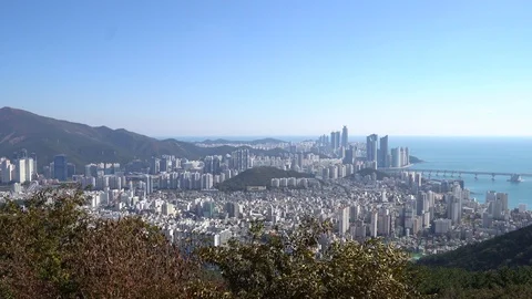 The cityscape of Busan Stock Footage 101003928