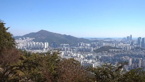 The cityscape of Busan Stock Footage 101003936