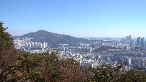 The cityscape of Busan Stock Footage 101003942