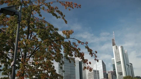 Cityscape, in the foreground a tree, behind a modern city with a river 스톡 동영상 121155029