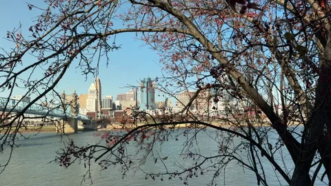 A cityscape framed by trees Stock Footage 256950820
