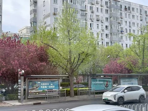 Cityscape with High-Rises, Spring Trees, and Bus Stop from Bus Window Stock-Fotos