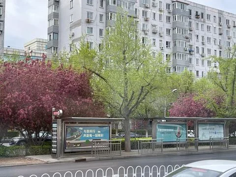 Cityscape with High-Rises, Spring Trees, and Bus Stop from Bus Window Stock Photos