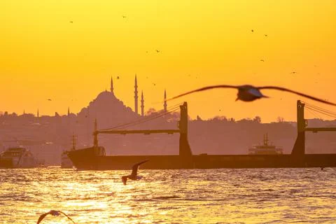 Cityscape of Istanbul at sunset with seagull Stock Photos