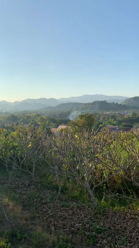 Cityscape in Luang Prabang Vidéo 343277935