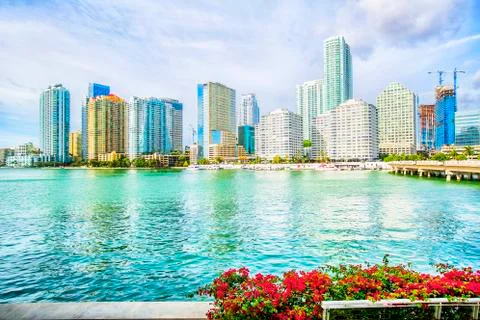 Cityscape of Miami on a sunny day, Florida Stock Photos