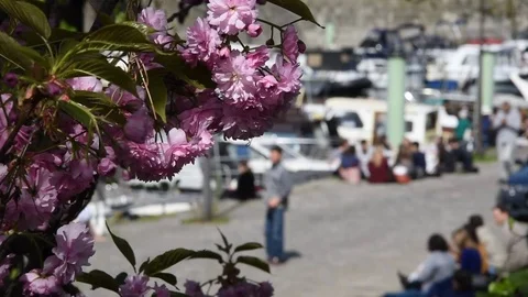 Cityscape of Paris Stock Footage 74184839