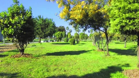 Cityscape of public park on bright sunny day, flight of drone. Video stock 239255853