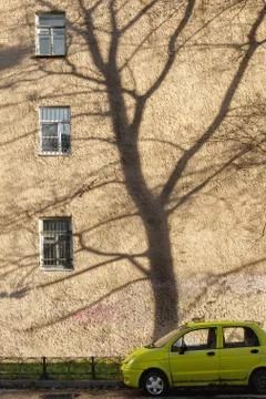 Cityscape with shadow from a tree on the wall. small yellow car on the Stock Photos