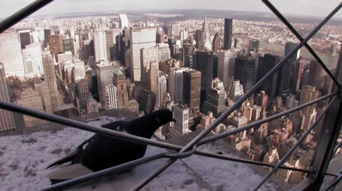 Cityscape skyline birds Stock Footage 24862648