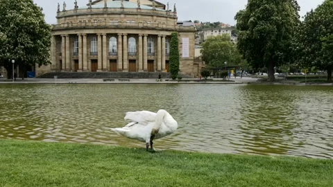 Cityscape of Stuttgart in May 库存影片 123813543