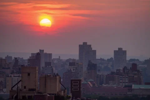 Cityscape Summer Sunset Crop Stock Footage 145657109