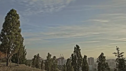 Cityscape Sunset with Pine Trees – 4K ProRes Time Lapse Frame Stock Footage 321892132