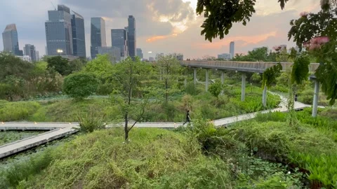 Cityscape timelapse of Forest Park at sunset with skyscrapers, Bangkok, Thailand Video stock 331834660