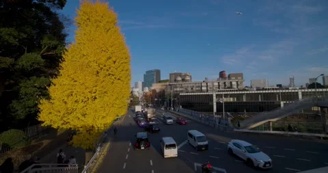 A cityscape of traffic jam at the yellow gingko street in autumn wide shot Stock Footage 325434354