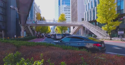 A cityscape of traffic jam at the yellow gingko city street in autumn fish eye Stock Footage 327954193