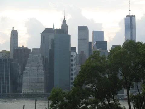 Cityscape with tree Stock Photos