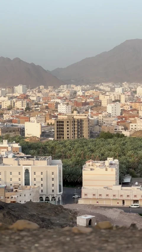 Cityscape View with Palm Trees and Masjid Al Fath Stock Footage 346192680