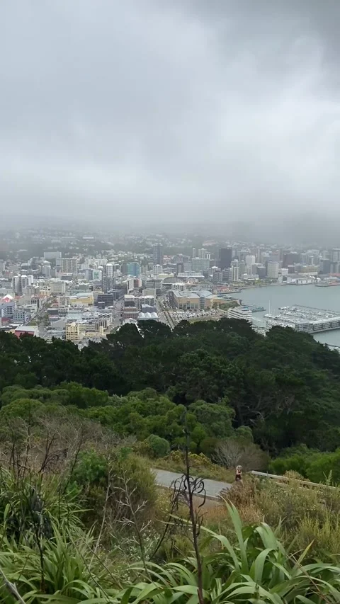 Cityscape in Wellington Видео 344255888