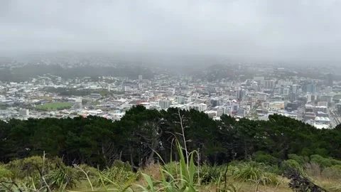 Cityscape in Wellington Vidéo 344255918