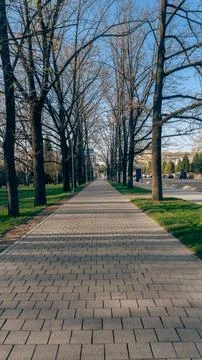 Cityside Walkway with Leafless Trees Stock Photos