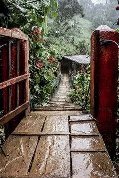 Ciudad Perdida (The Lost City) Stock Photos