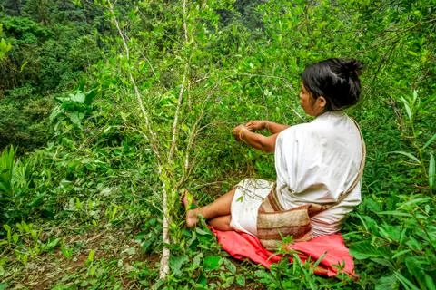 Ciudad Perdida (The Lost City) Stock Photos