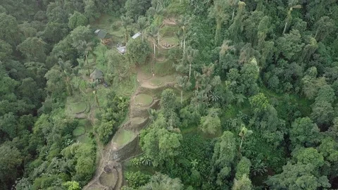 Ciudad Perdida (Teyuna) the lost city of Colombia - Drone, Ruins, Sierra Nevada Stock Footage 126060943