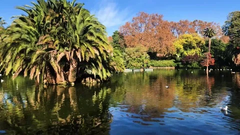 Ciutadella park Stock Footage 99348956