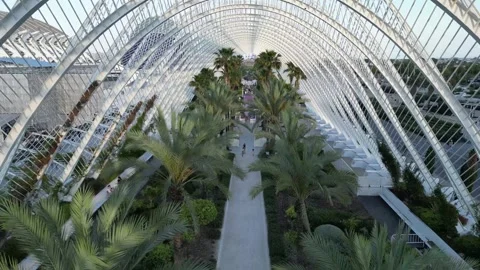 Ciutat de les Arts i les Ciències in Valencia, Spain Stock Footage 246725552