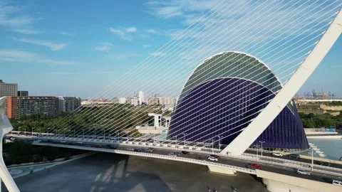 Ciutat de les Arts i les Ciències in Valencia, Spain Stock Footage 246725622