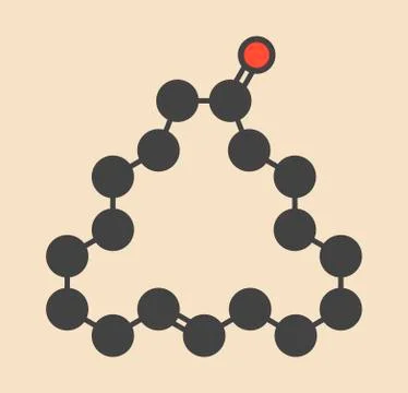 Civetone civet cat pheromone molecule Stock-Illustration