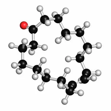 Civetone pheromone molecule, illustration Stock-Illustration