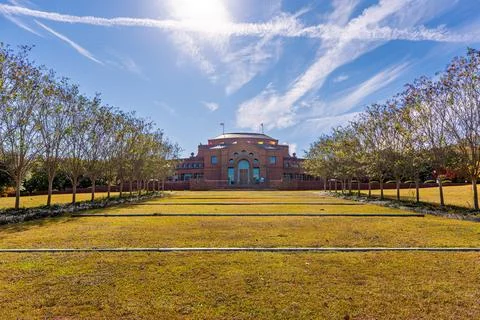 Civic Building Framed by Trees Under Dramatic Sky Stock Photos