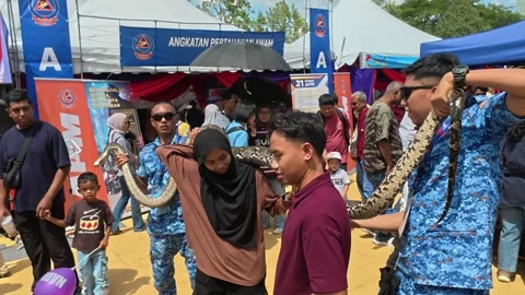 Civil Defence Force Demonstrating Large Python Handling to Public Stockbeeldmateriaal 340222433