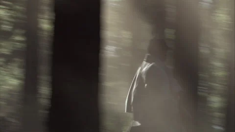 Civil War battle in forest of black union soldiers, 1860s - Reenactment Stock Footage 202532129