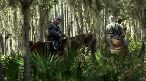 Civil war Collection;  Cavalry troops and officers in woods Stock Footage 62198231