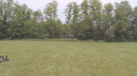 Civil War Era Scenes #1 Video stock 24804915