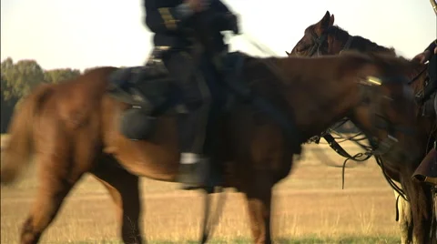 Civil war horses Stock Footage 40480187
