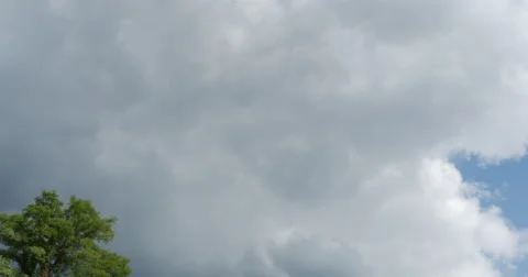 Civil War Time Split Rail Fence with Grass Field Slow Tilt Wide, 4K Vídeos de archivo 68413152