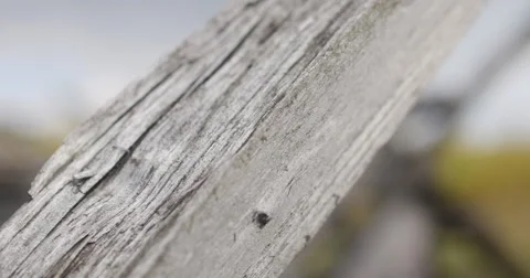 Civil War Time Split Rail Fence with Grass Field Rack Focus, 4K Vídeos de archivo 68414372