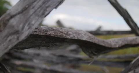 Civil War Time Split Rail Fence with Field Rack Focus Close Pan, 4K Vídeos de archivo 68416381