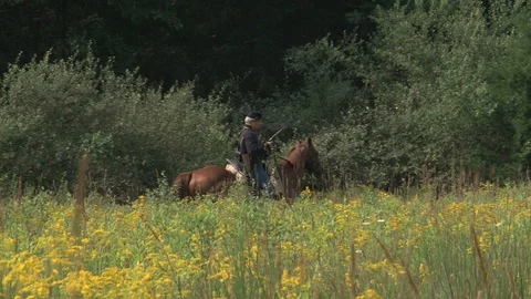 Civil War Union Army Cavalry - On Horseback in open grassy field with revolvers Stock Footage 105688728