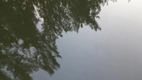 Civilization vs nature 库存影片 246831405